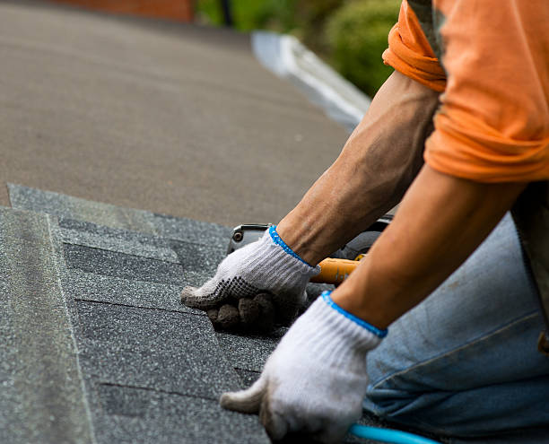 Best Roof Gutter Cleaning  in Pioneer, CA