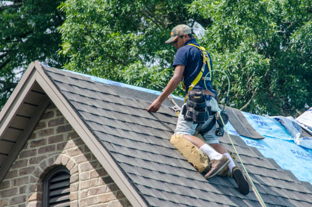 Best Roof Leak Repair  in Pioneer, CA